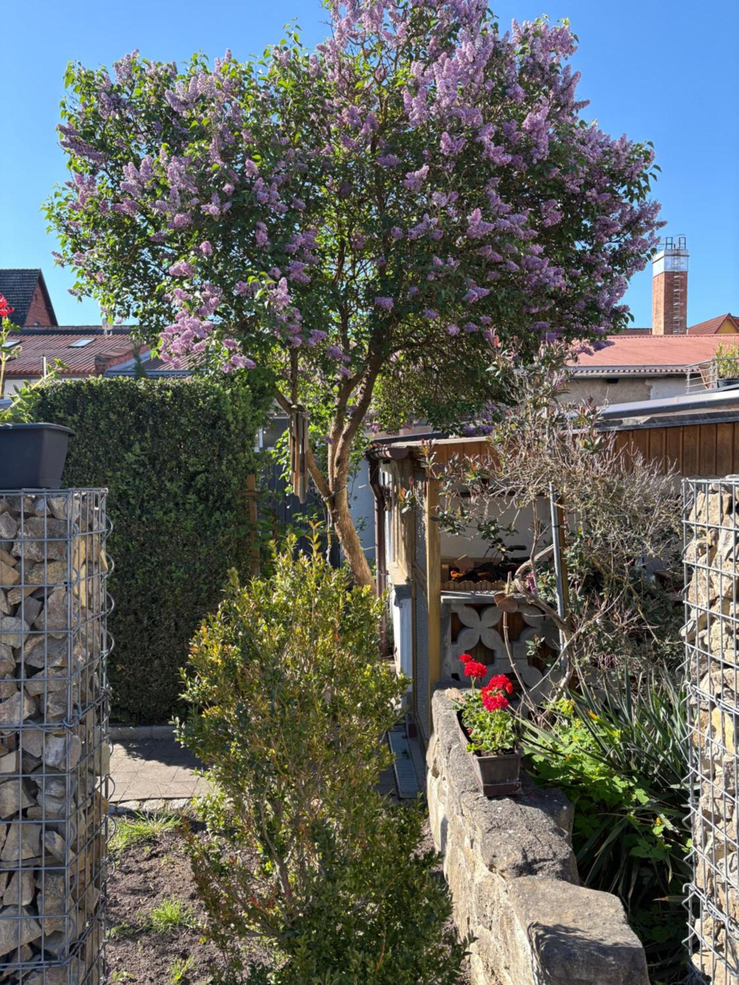Haus Hannah Meiningen Exterior foto
